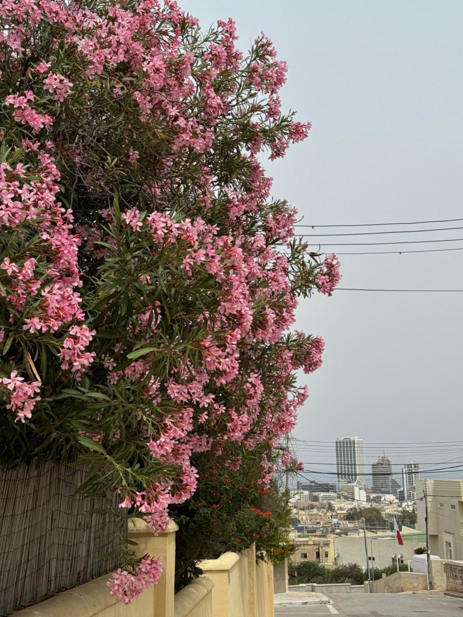Villa Xiwan Is-Swieqi Exterior photo